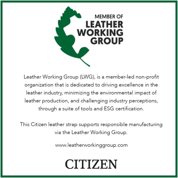 Citizen Montre décontractée AW1361-10H