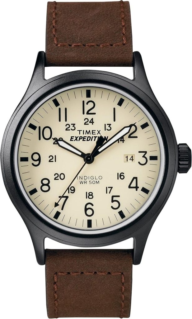Test de la montre Timex Homme cuir T49963